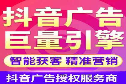 某某SEM服务公司成功案例：从数据出发的营销策略